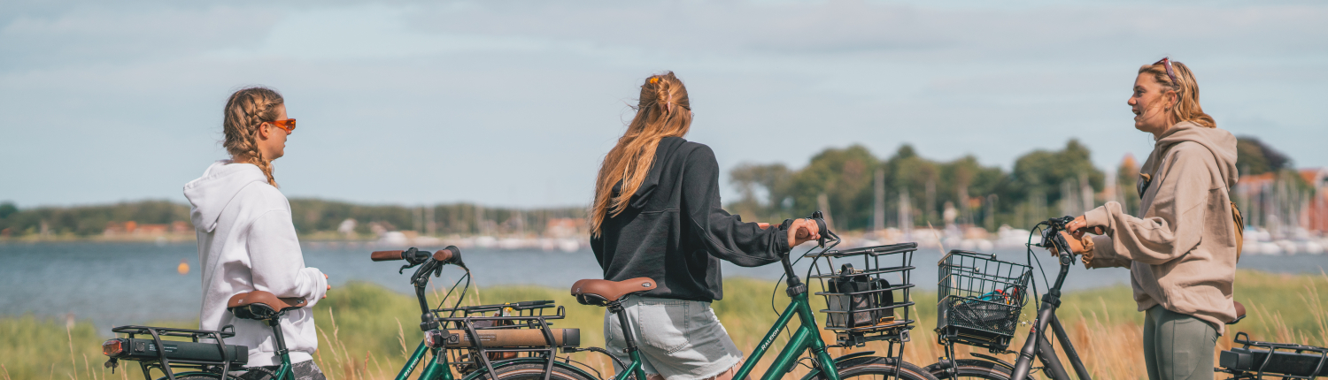 Cykelruter
